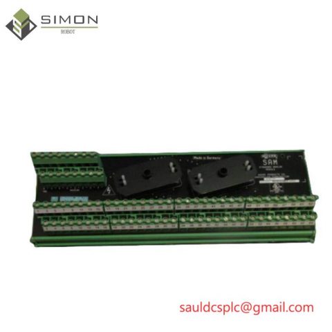 Moore 16169-1-07 SAM Standard Analog Module: Precision Control for Industrial Automation